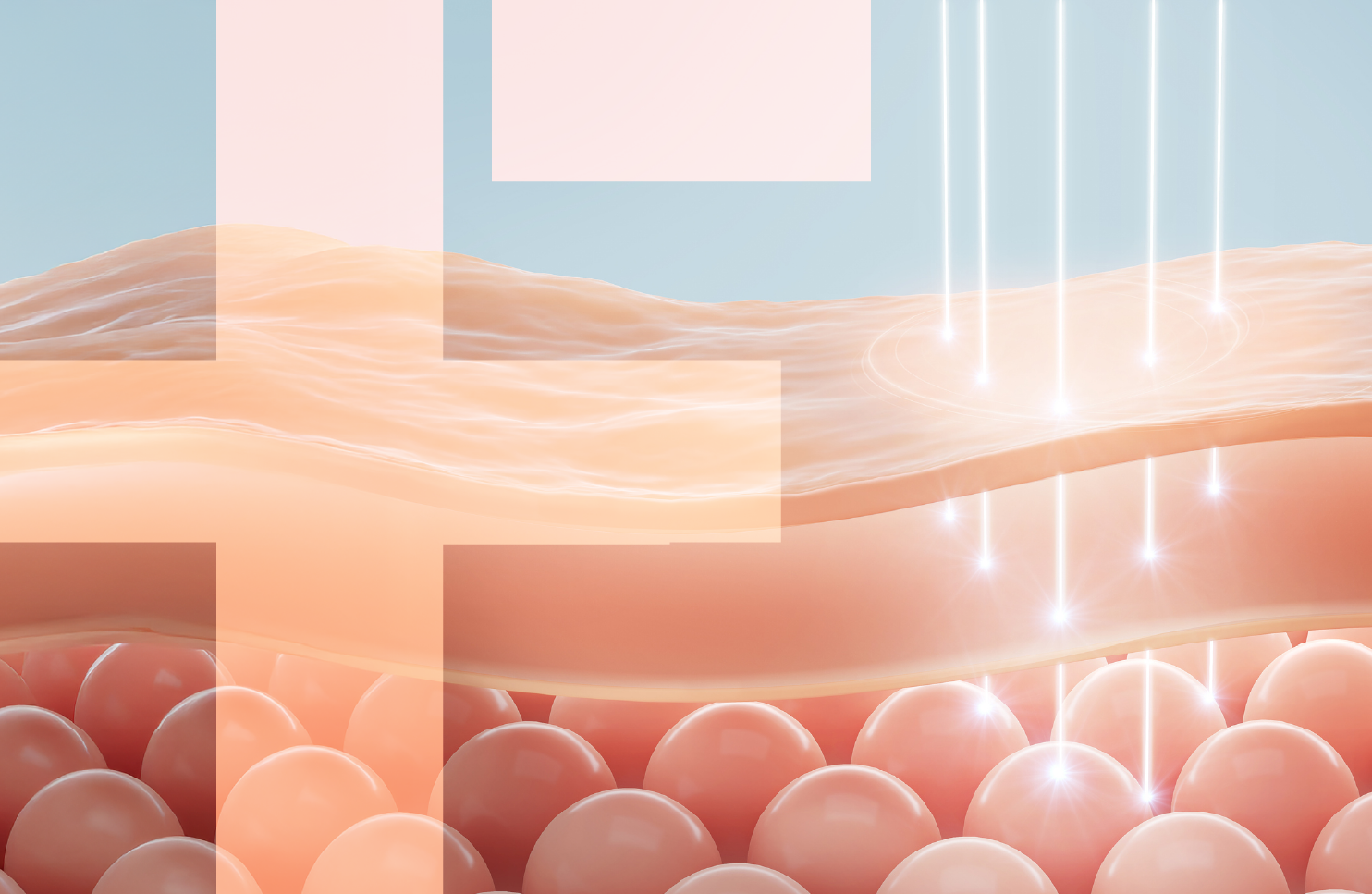 Antienvejecimiento y fotoprotección